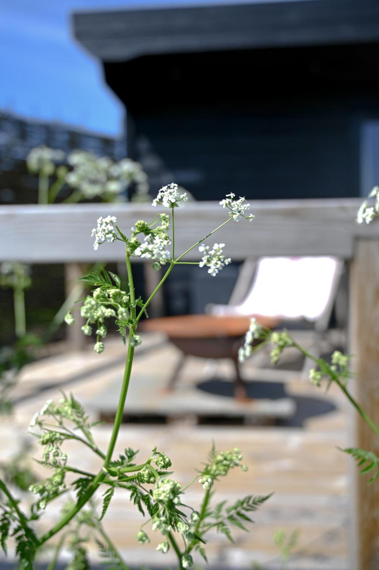 Hotel The Hut - A Shepherd'S Hut On Our Family Farm In Warwickshire Evesham Exteriér fotografie